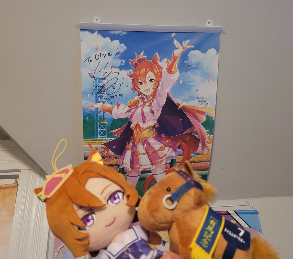 Picture of plush and horse plush with signed poster