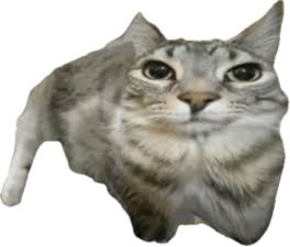 Comment image