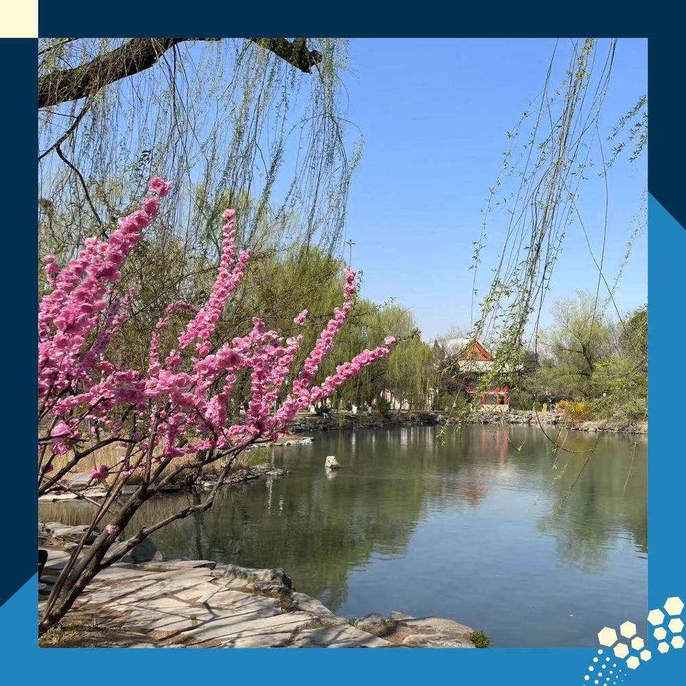 PKU campus in spring