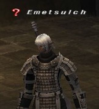 A Final Fantasy Elvaan named "Emet sulch"