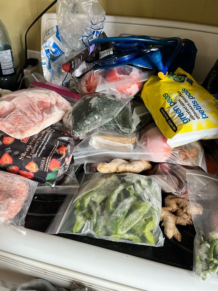 Picture of various veggies being cut and prepped for the freezer, including leeks, onions, peas, ginger and fruits