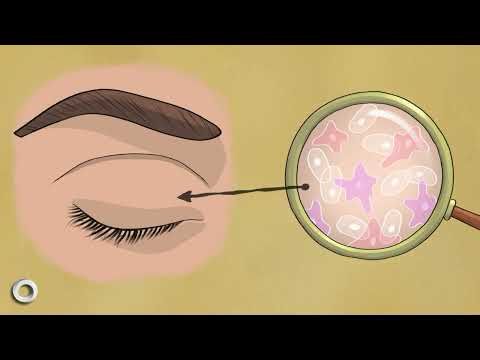 Unlocking Cancer Secrets with Peto’s Paradox. Cancer Grand Challenges: Introducing Team PROMINENT