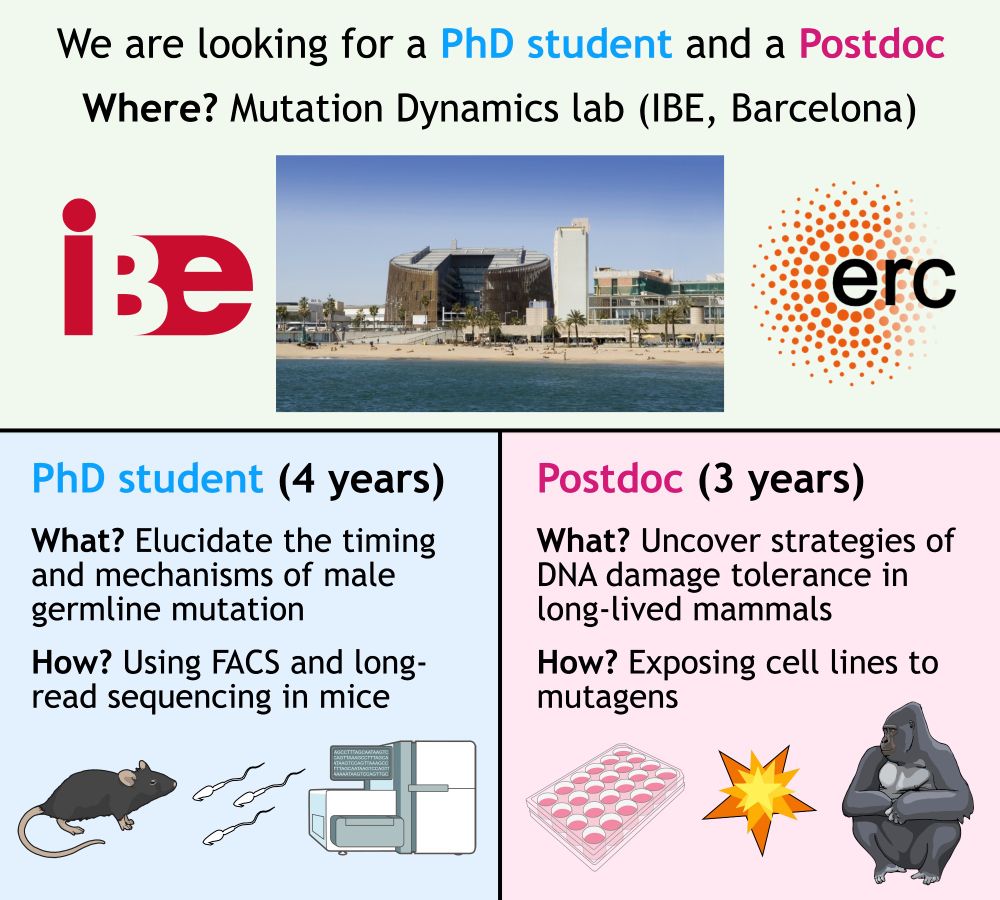 Banner for job offers