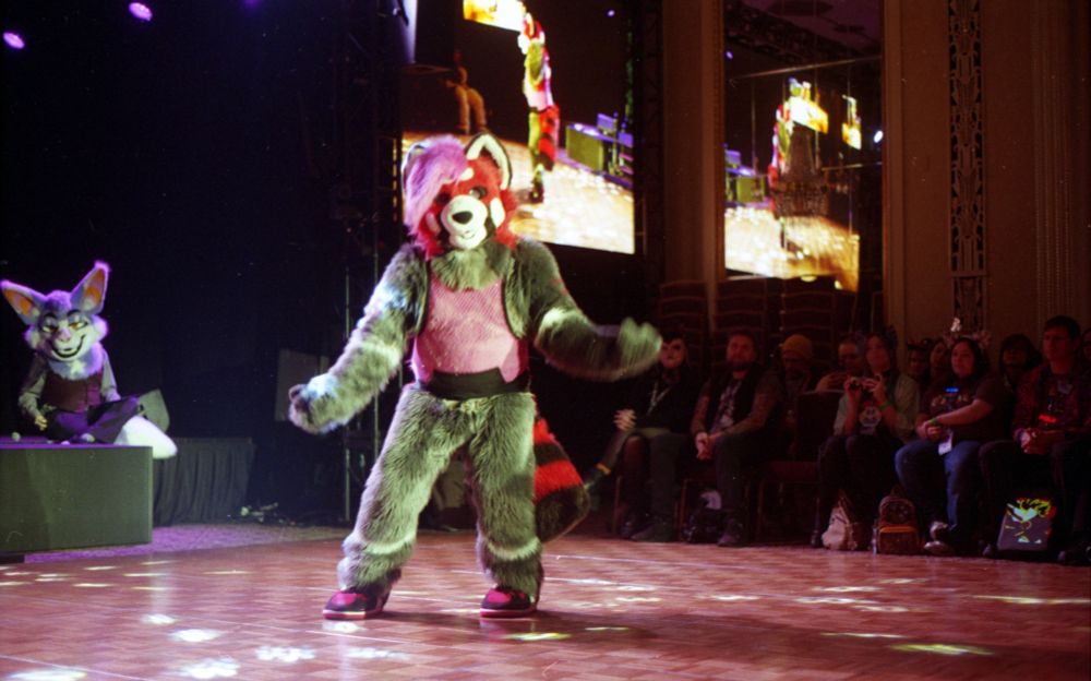 Color photo of Scooter dancing, facing the camera