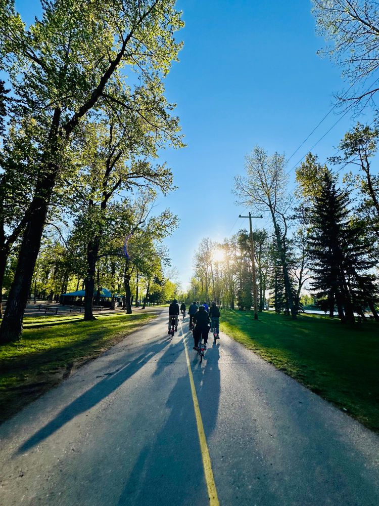 Bicycles riding into the sun with long shadows and the pathways is lined with trees. 
