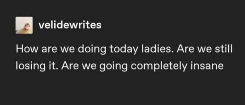 A tumblr post by velidewrites that reads:
How are we doing today ladies. Are we still losing it. Are we going completely insane