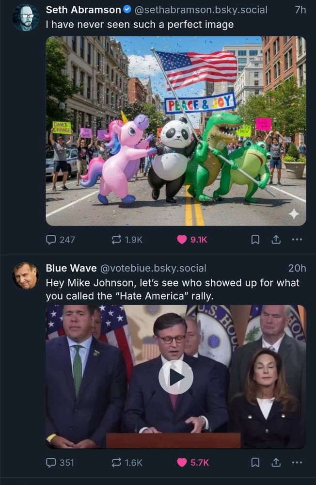 Screenshot of two posts, the first one shows a unicorn suit, a panda suit, a dino suit and a frog suit dancing underneath an American flag. The second one shows Mike Johnson talking about the "hate rally".