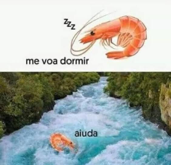 Meme com uma representação do ditado popular “camarão que dorme a onda leva”. Há um camarão dizendo: “me voy dormir”; e depois de ter dormido e acordado novamente, ele diz: “ayuda”. Ele aparentemente foi levado pela correnteza.