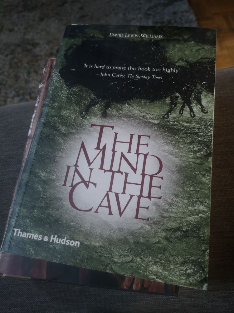 Photo of the book 'The Mind in the Cave' by David Lewis-Williams