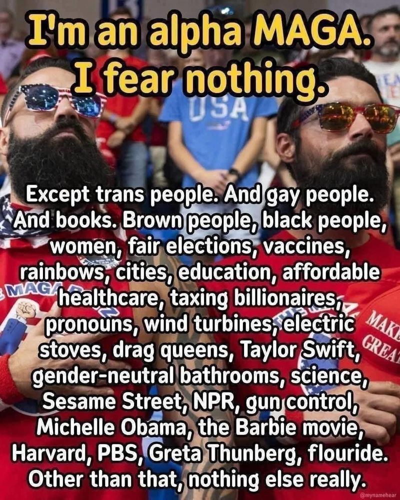 I'm an alpha MAGA. I fear nothing. Except Trans people. And gay people. And books. Brown people, black people, women, fair elections, vaccines, rainbows, cities, education, affordable healthcare, taxing billionaires, pronouns, wind turbines, electric stoves, drag queens, Taylor Swift, gender-neutral bathrooms science, Sesame Street, NPR, gun control, Michelle Obama, the Barbie movie, Harvard, PBS, Greta Thyrnberg, fluoride. Other than that, nothing else really.