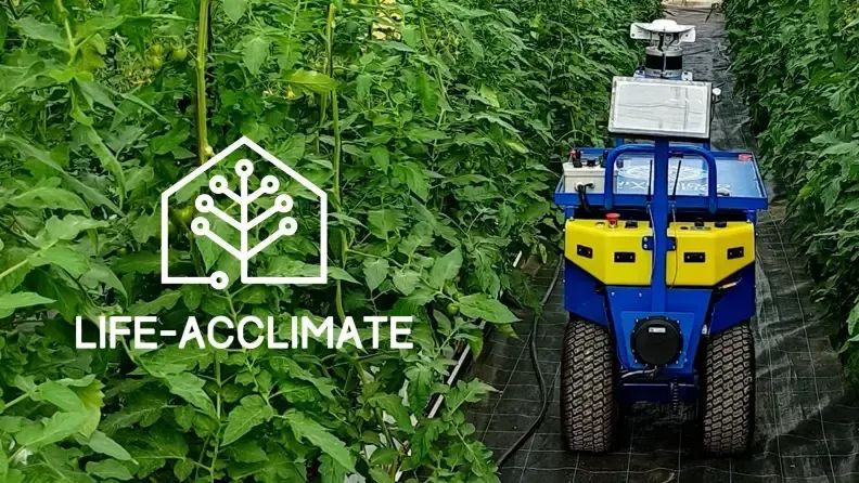 Robot Terrestre del Proyecto LIFE-ACCLIMATE al interior de un invernadero de tomates.