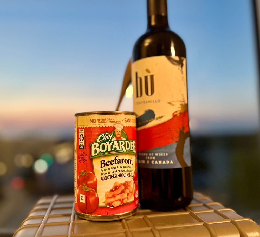 An open can of Beefaronis with a fork sticking out of it next to a bottle of blended Spanish and Canadian wine. The shot is framed in front of an evening sky in Ottawa. I got my fork back. And I probably shouldn’t drink wine on painkillers but no one will stop my quest. 