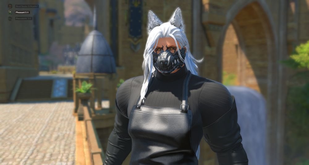 fiend in that butcher mod with ketten's nastrond (i think that was the name), the canis lupus mod for the mask, and torgal's ears in with white hair and gold eyes. the tail is there just not in the picture