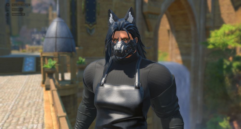 fiend in that butcher mod with ketten's nastrond (i think that was the name), the canis lupus mod for the mask, and torgal's ears in his regular coloring. the tail is there just not in the picture