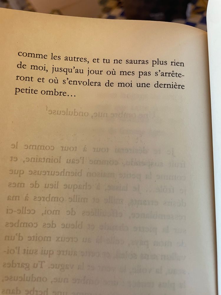 comme les autres, et tu ne sauras plus rien de moi, jusqu'au jour où mes pas s'arrêteront et où s'envolera de moi une dernière petite ombre...