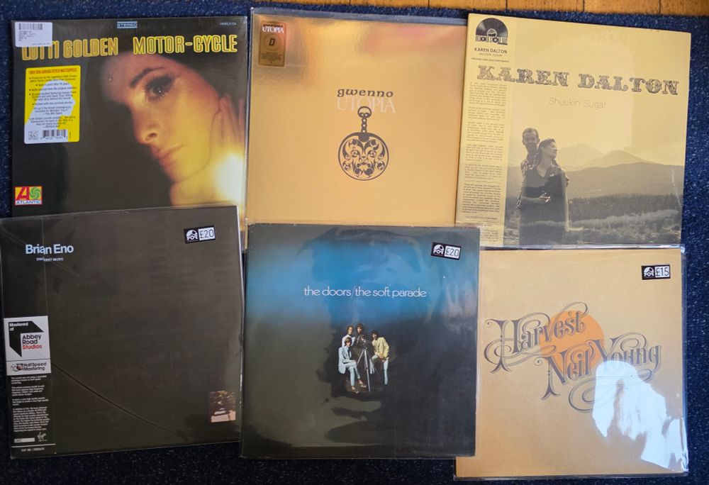 LP's by Lotti Golden, Gwenno, Karen Dalton, Brian Eno, The Doors & Neil Young.