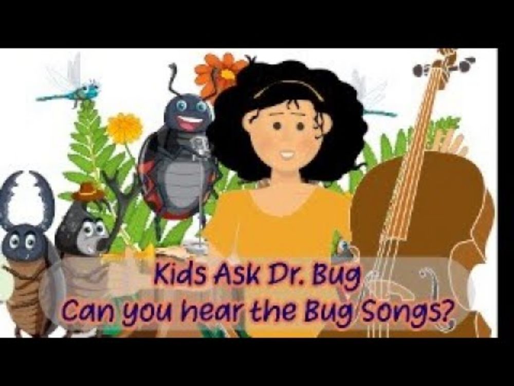 Can you hear the Bug Songs?  Join me to listen and learn to identify the songs of the insect world.