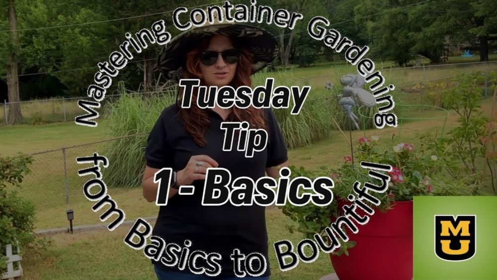 Mastering Container Gardening:  from Basics to Bountiful / Part 1 - Basics