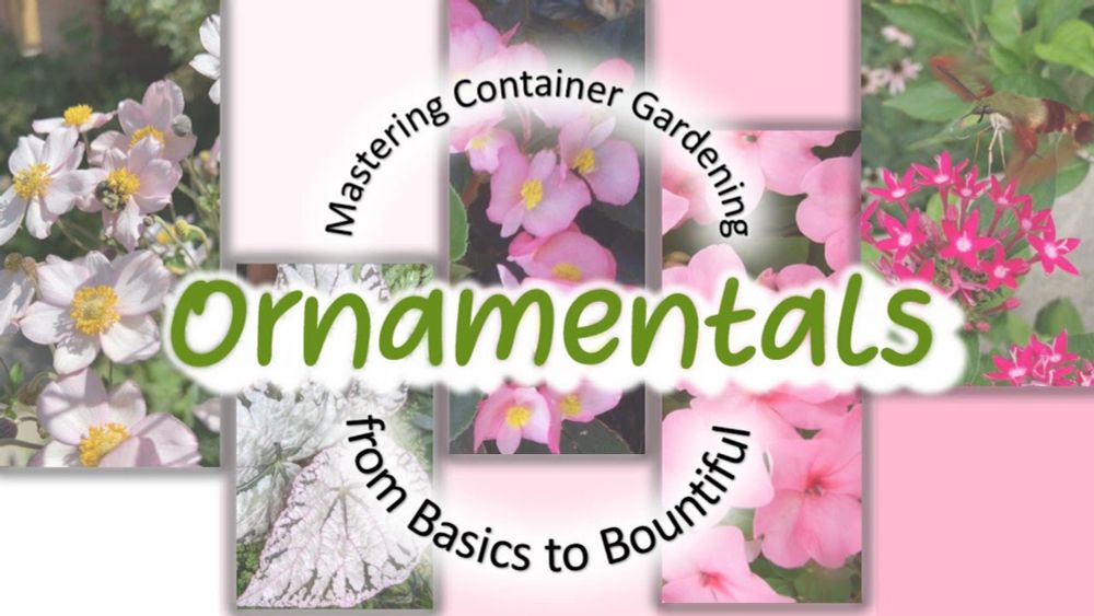 Mastering Container Gardening:  Part 2 - Ornamentals from Ordinary to EXTRAORDINARY!