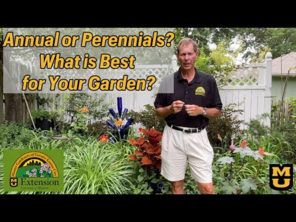 Annuals or Perennials? Which is Best for Your Garden?