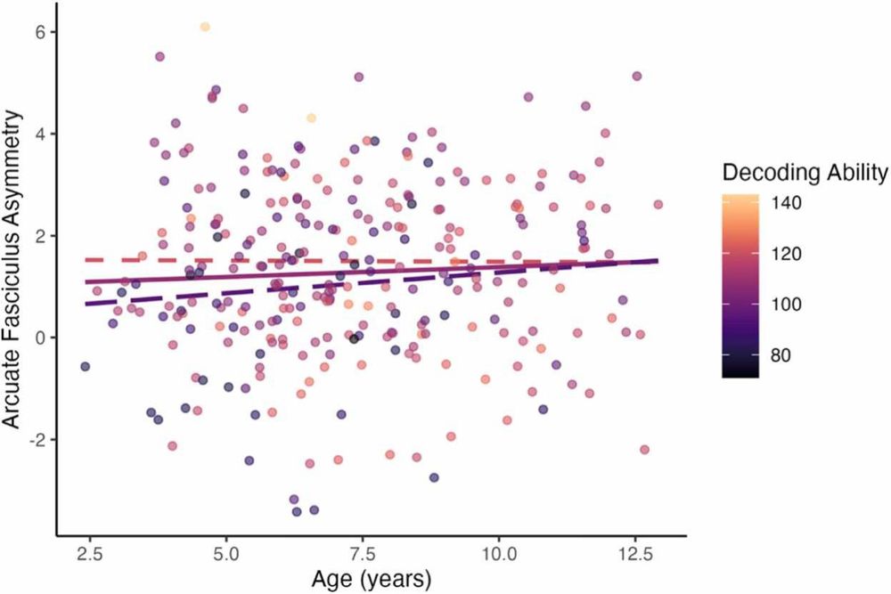 Interaction plot showing association between age (x-axis) and arcuate fasciculus microstructural asymmetry (y-axis) moderated by decoding ability(color scale: lighter colors=better decoding scores). Fit lines show age-asymmetry association for poorer readers (purple long-dash), sample mean (solid magenta line) and better decoders (pink short-dash)