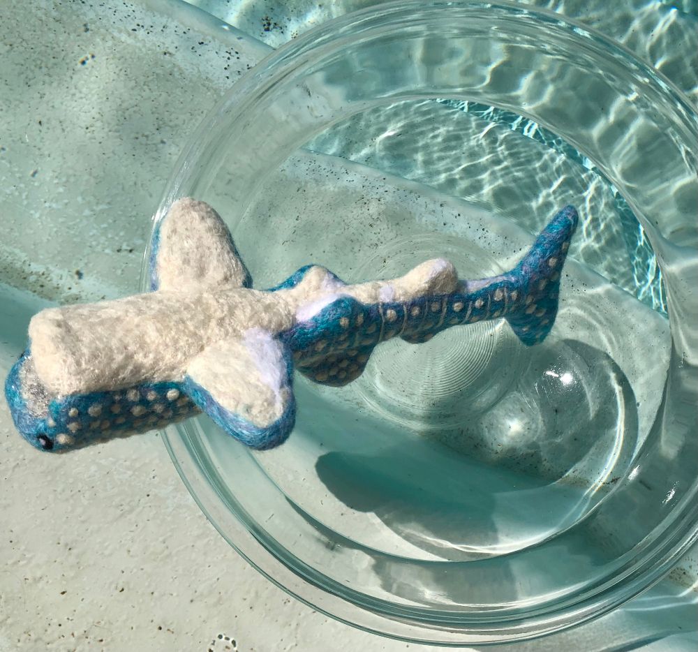 photo of the upsidedown view of a whale shark needlefelted figure. It is in a bowl floating in a pool.