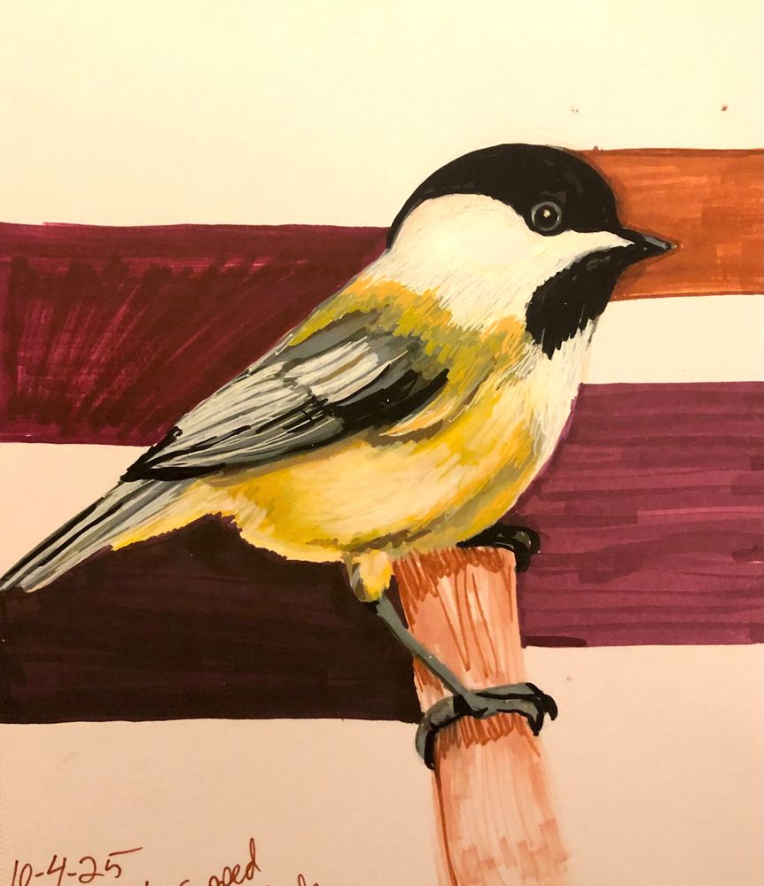 a semi-realistic drawing done in marker of a black-capped chickadee on a branch. It has an abstract background of red-brown rectangles.