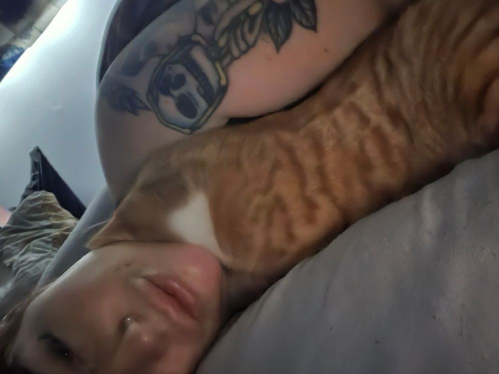 Jef the ginger kitten cuddling into my neck