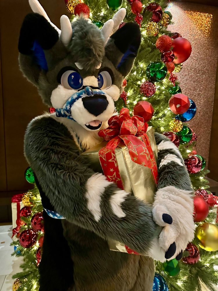 Fursuit Jenga, standing in front of a Christmas tree, hugging a gift.