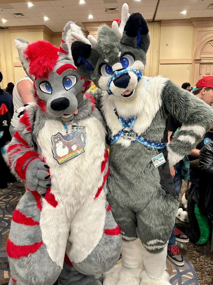 Fursuit photo of Eclipse with Jenga.