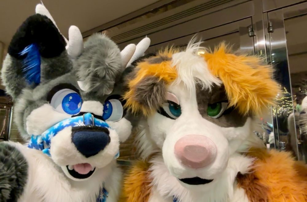 Fursuit photo of Ferris and Jenga.