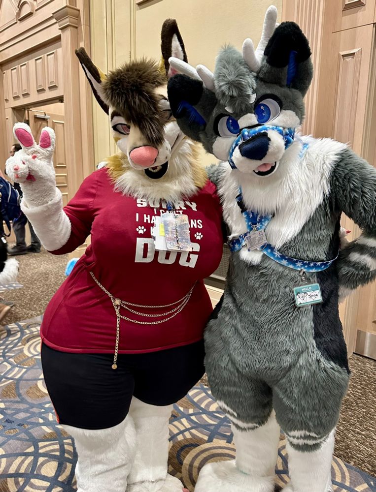 Fursuit photo of Gill with Jenga.