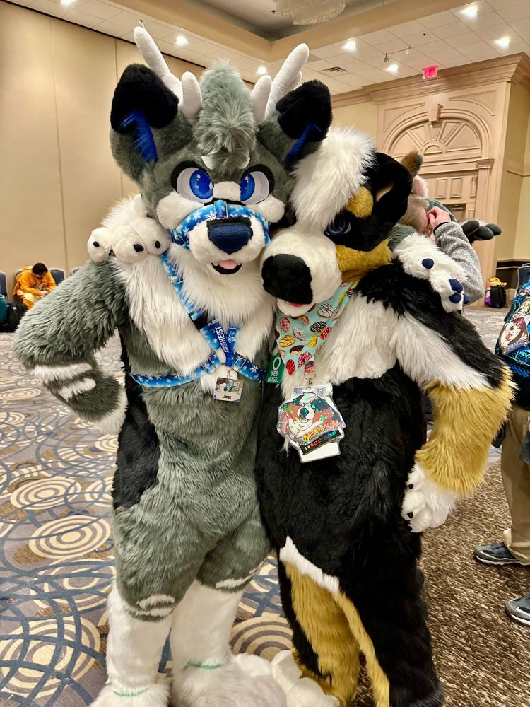 Fursuit photo of Sammon with Jenga.