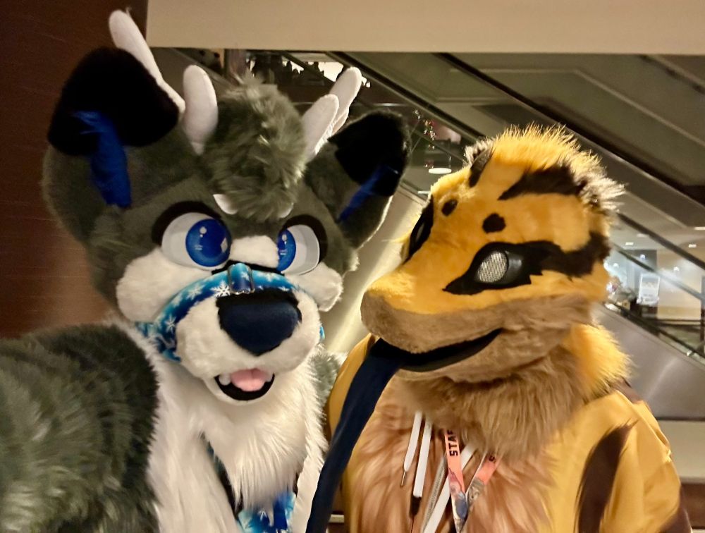 Fursuit photo of Yellow with Jenga.