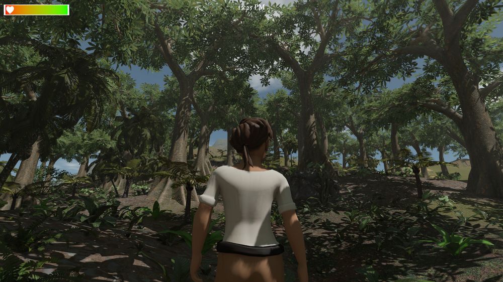 A dense jungle