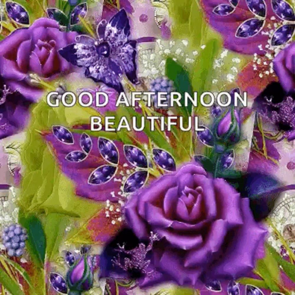 a picture of purple roses with the words good afternoon beautiful on it