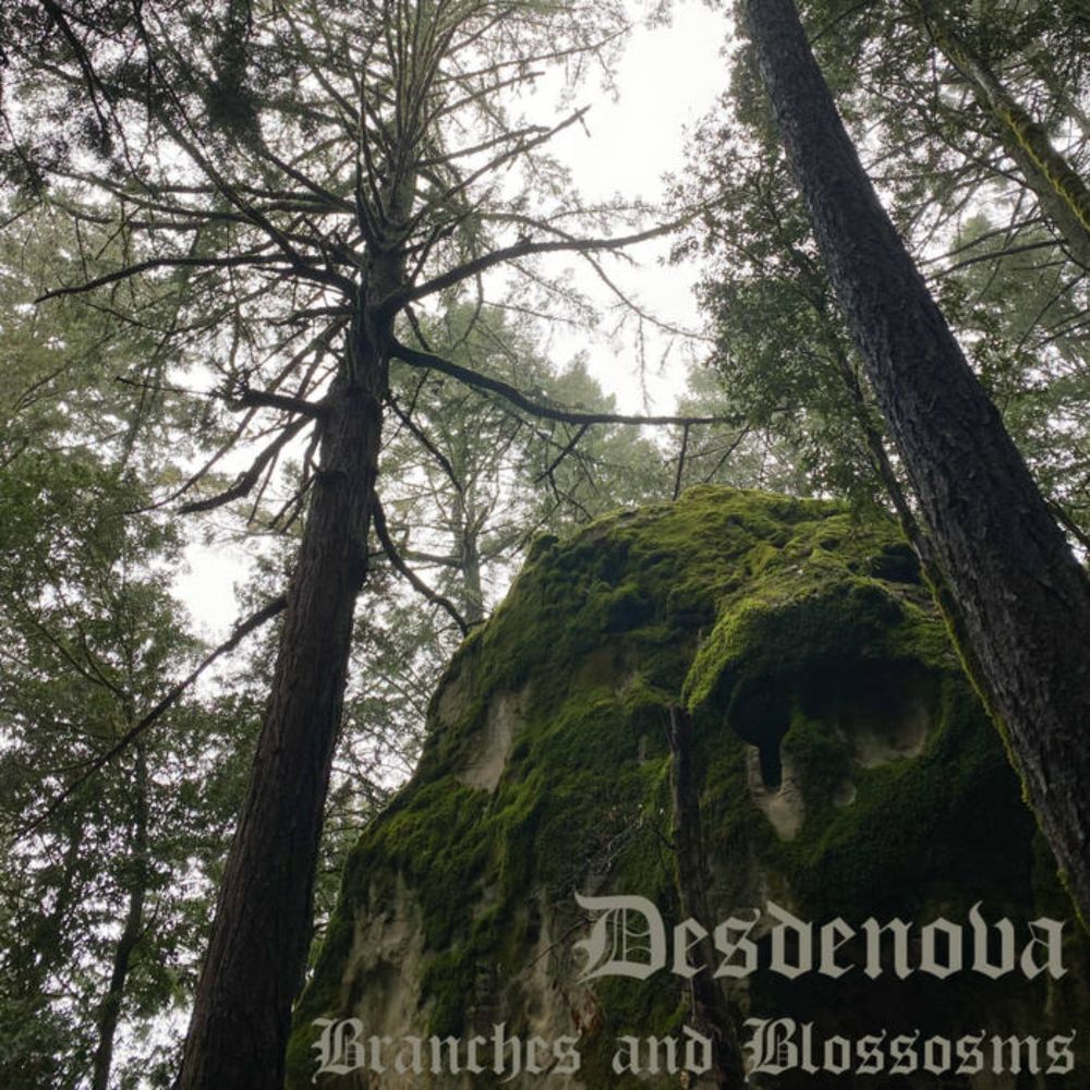 Desdenova - Branches and Blossoms | Free Bandcamp Codes