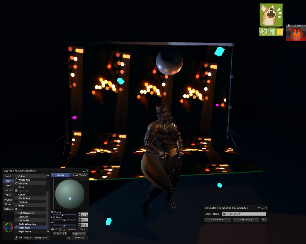 a zoomed-out behind-the-scenes screenshot of the lighting and backdrop setup used for the photo