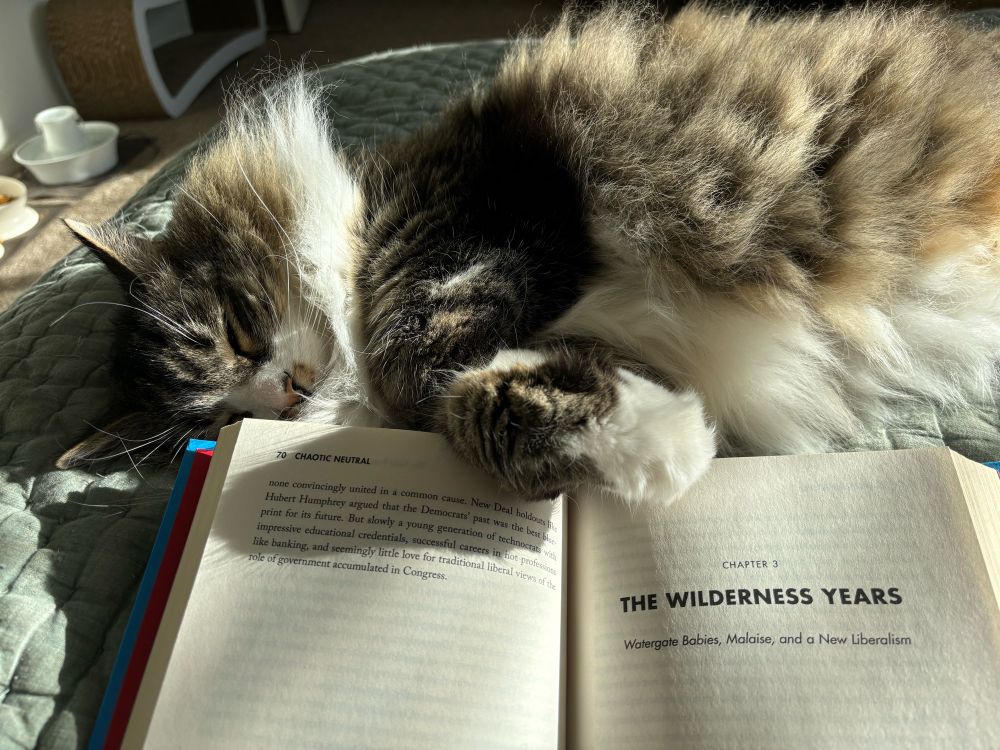 A large furry gray and white cat is sleeping in a sunbeam next to an open book.