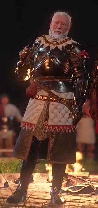 A full figure screenshot of Sir Divish from the game Kingdom Come: Deliverance.