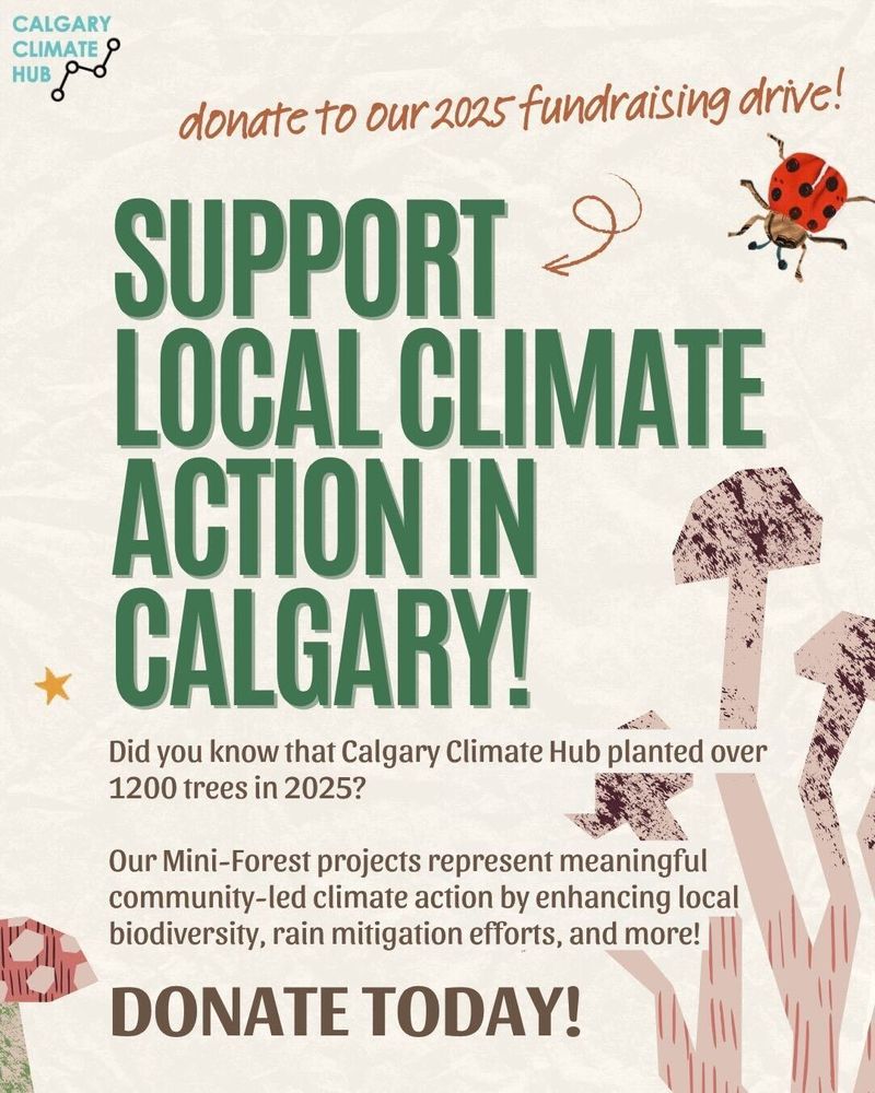 Poster from the Hub's 2025 fundraising drive, text reads “Support Local Climate Action in Calgary!” + “donate to our 2025 fundraising drive!” +  the Calgary Climate Hub planted over 1,200 trees in 2025 and describes their Mini-Forest projects, which enhance biodiversity and rain-mitigation efforts + “Donate Today!” + The Calgary Climate Hub logo