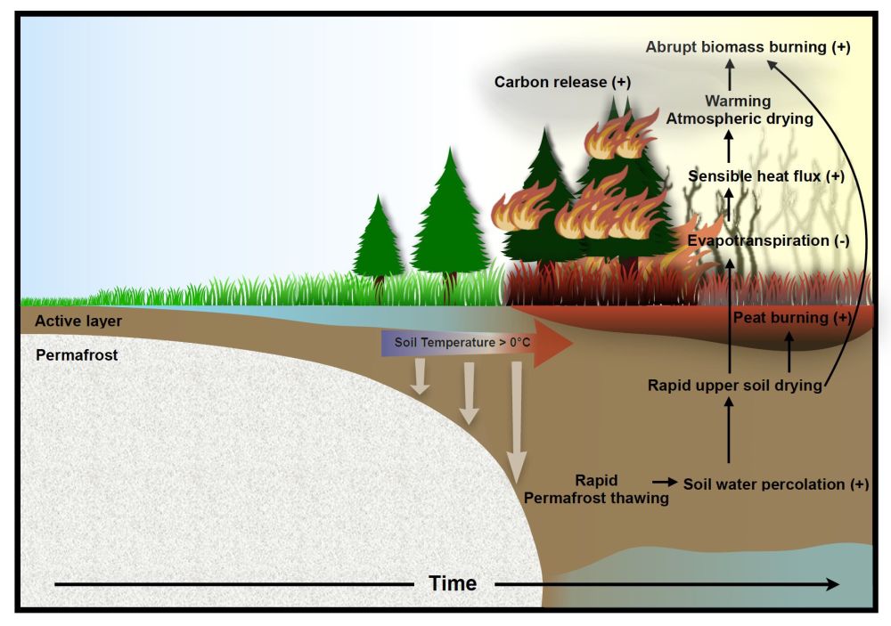 Climate models predict abrupt intensification of northern wildfires due to permafrost thawing