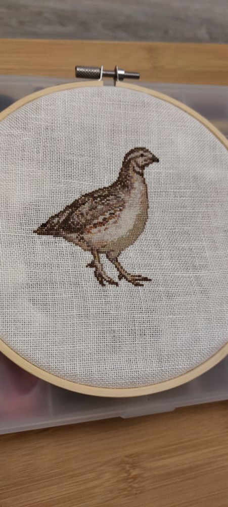 Caille des blés brodée par mes soins 🥰