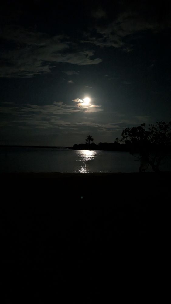 Der Mond steht über einer Bucht und im Wasser spiegelt sich das Mondlicht 
