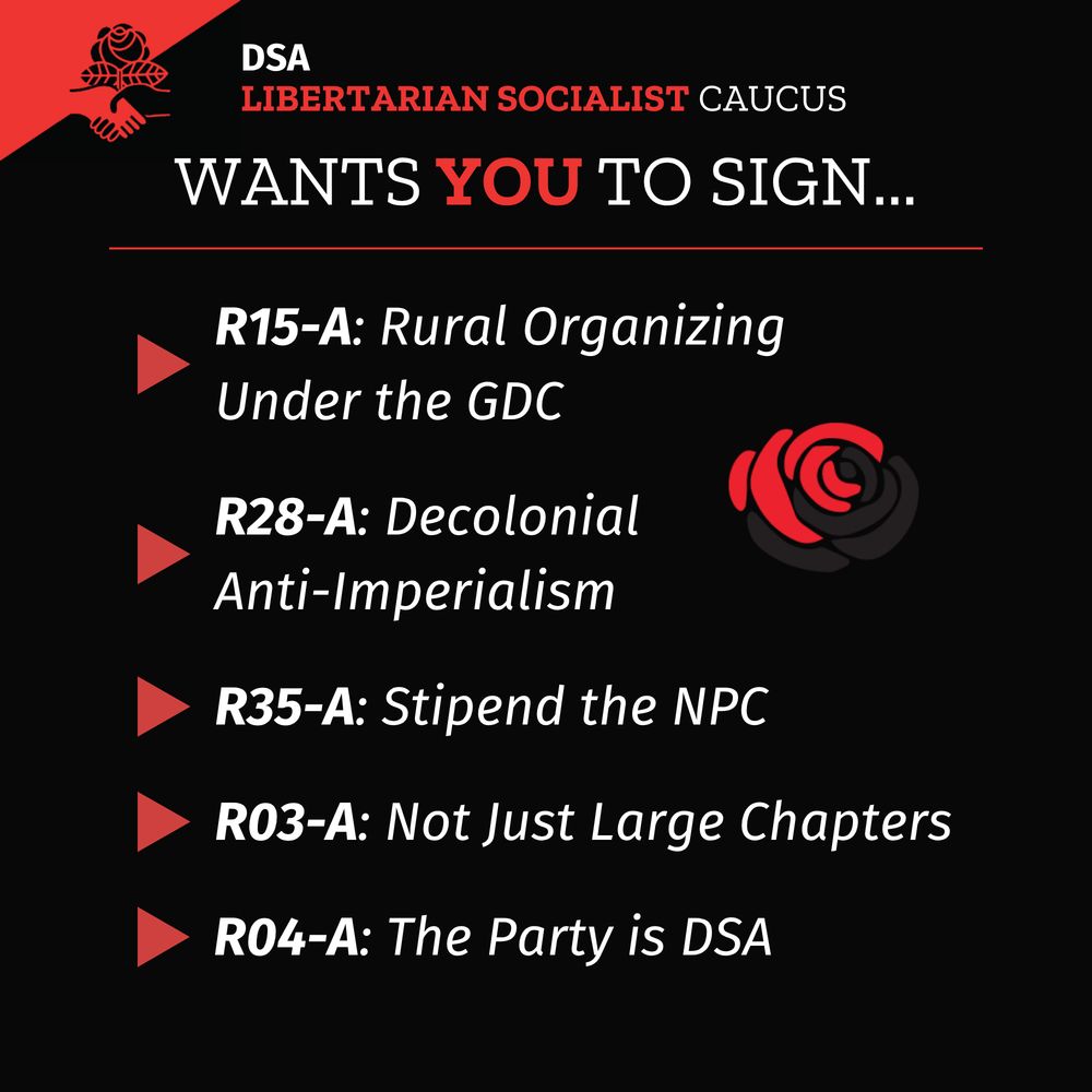  A black background with DSA LSC flag in upper left corner. Black and red rose in the center right of the page. Title: DSA LSC wants you to sign...
Bulleted list with red triangles pointing right that says:
R15-A: Rural Organizing Under the GDC
R28-A: Decolonial Anti-Imperialism
R35-A: Stipend the NPC
R03-A: Not Just Large Chapters
R04-A: The Party is DSA