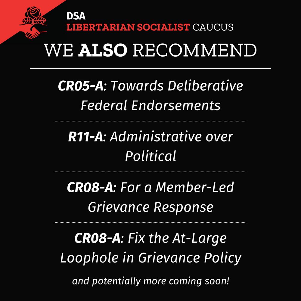 A black background with DSA LSC flag in upper left corner. Black and red rose in the center right of the page. Title: DSA LSC we also recommend
List separated by white dotted lines in between list items that says:
CR05-A: Towards Deliberative Federal Endorsements
R11-A: Administrative over Political
CR08-A: For a Member-Led Grievance Response
CR08-A: Fix the At-Large Loophole in Grievance Policy
and potentially more coming soon