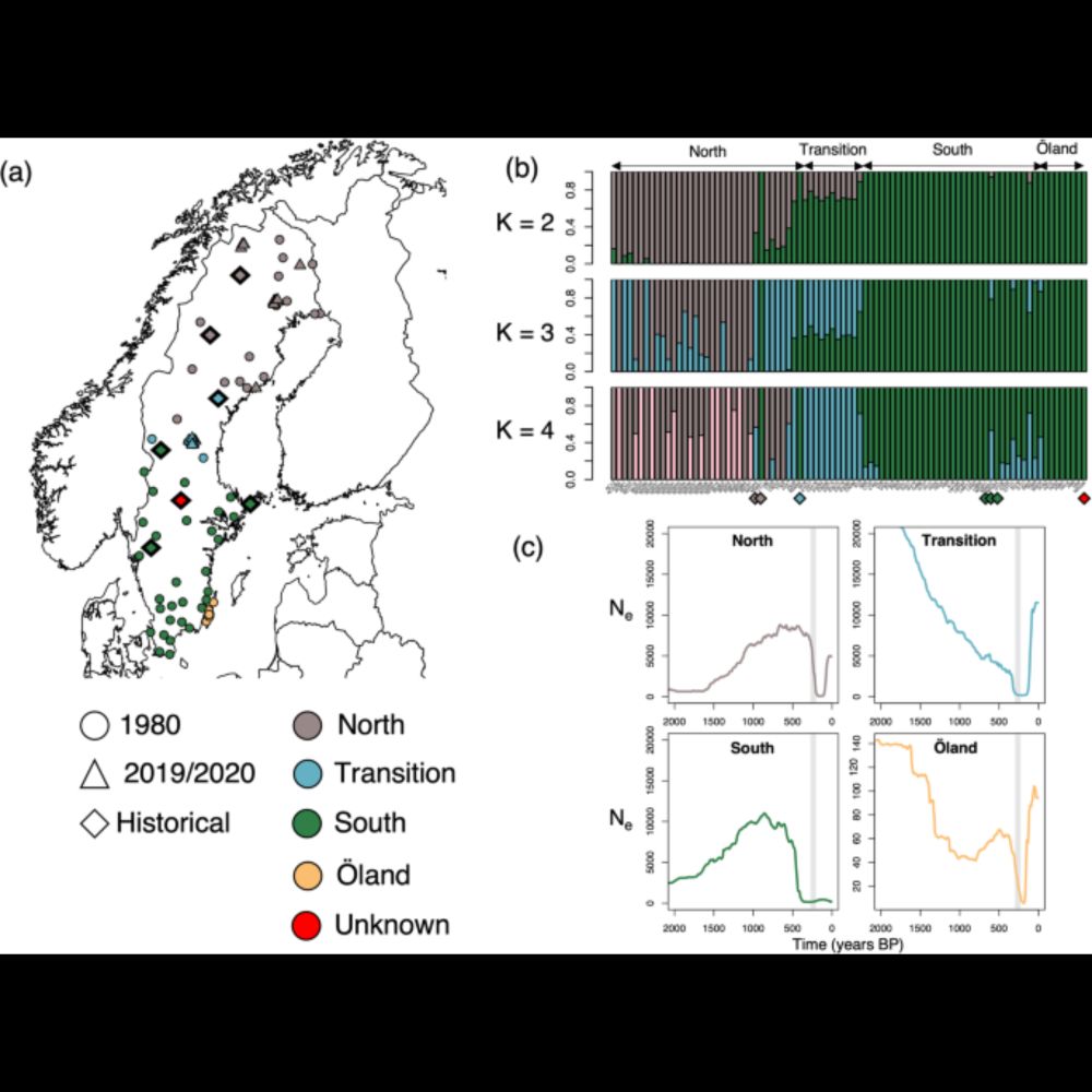 Range-wide and temporal genomic analyses reveal the consequences of near-extinction in Swedish moose...