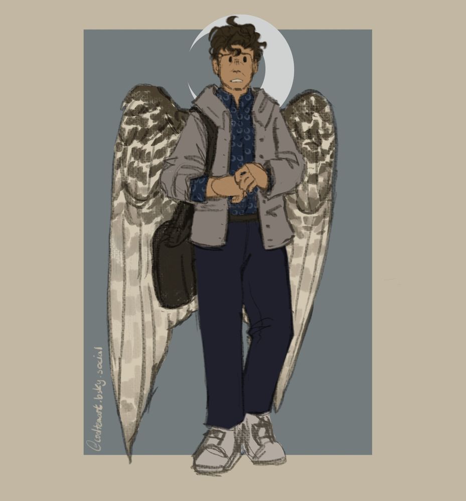 An alternate universe Steven Grant from Moon Knight (MCU) with wings. His wings are that if a lanner falcon. He is wearing a version of his outfit from episode 1 of MK, but his shirt has moon patterns on it.
