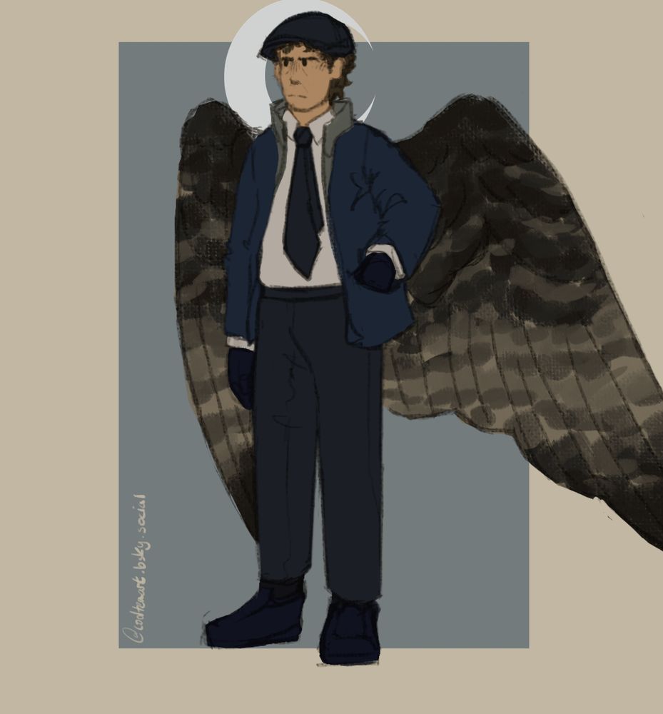 An alternate universe Jake Lockley from Moon Knight (MCU) with wings. His wings are that if a melanistic lanner falcon. He is wearing his outfit from episode 6 of MK.