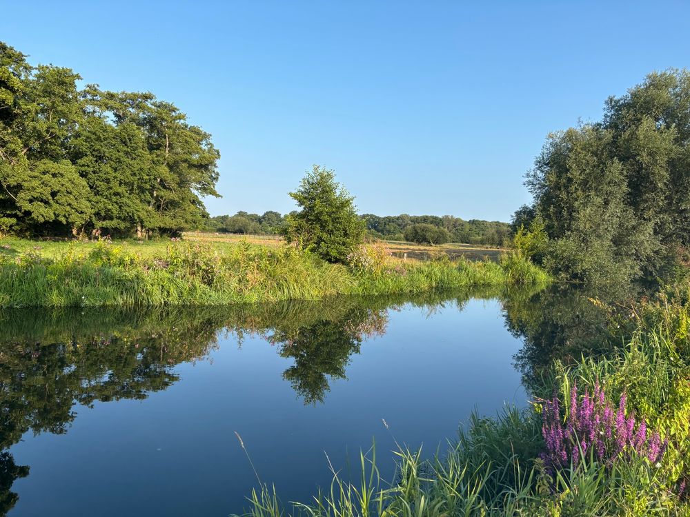 Beautiful river next to a green field with trees and bushes - sunlight reflecting in the water 